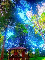 Hotel la Casa de Francois - Hostel