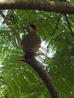 Hotel Quinta da Mantiqueira