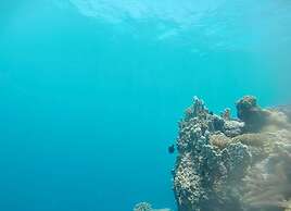 Vaiula Beach Fales