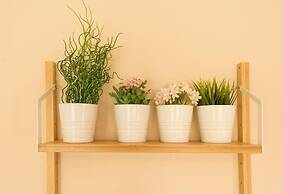 Plaza Merced Historico