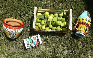 Punta Bianca Suite&Home Experience