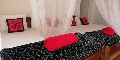 Ella Forest Eco View