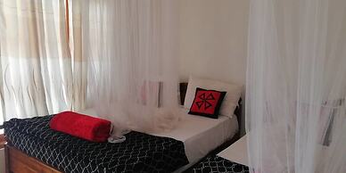 Ella Forest Eco View