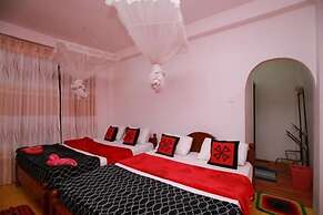 Ella Forest Eco View