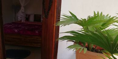 Ella Forest Eco View