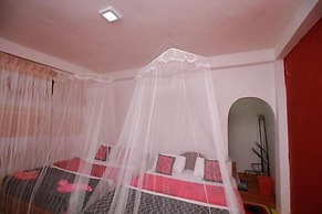 Ella Forest Eco View