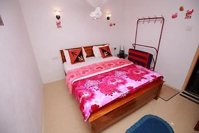 Ella Forest Eco View