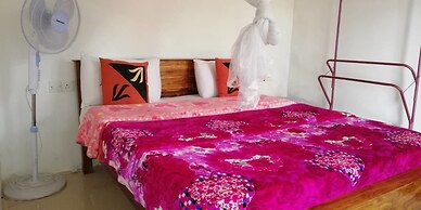 Ella Forest Eco View