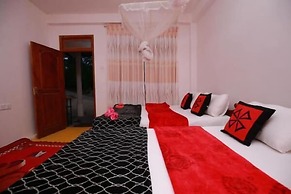 Ella Forest Eco View