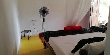 Ella Forest Eco View