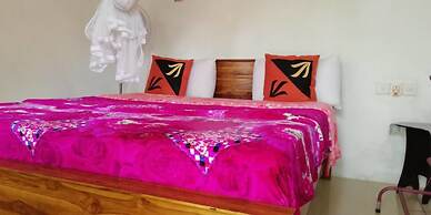 Ella Forest Eco View