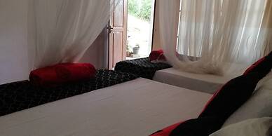 Ella Forest Eco View