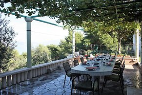 Luxury Apartments Villa Gloria