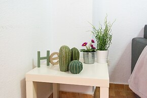 larios plaza centro histórico