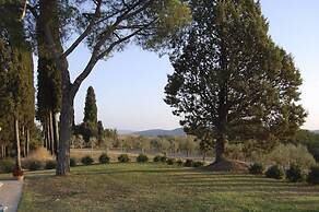 Verdidea - SANTO STEFANO