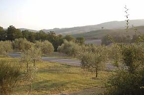 Verdidea - SANTO STEFANO