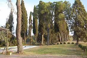 Verdidea - SANTO STEFANO