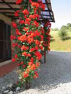 Verdidea - Podere Contignano