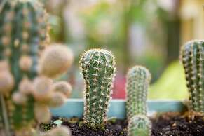 Romeo Giulietta Rooms Apartments Turkish Bath