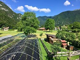 B&B Fattoria Dalla Patty