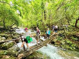 Funny Monkeys Homestay