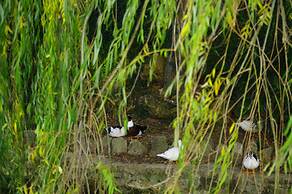 Vivienda Rural Rio Cerezuelo