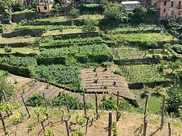 Il Magàn - Cinque Terre