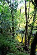 Casa Rural A Cobacha