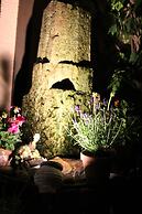 Hotel Gasthof Gruener Wald