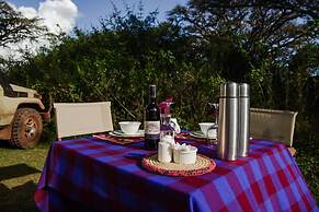 Ngorongoro Lions Paw