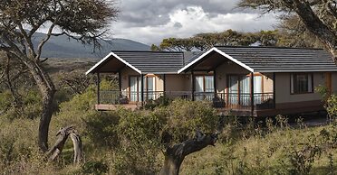 Ngorongoro Lions Paw