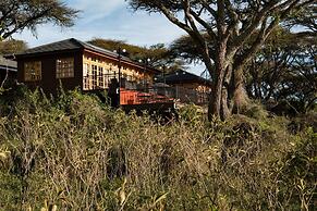 Ngorongoro Lions Paw