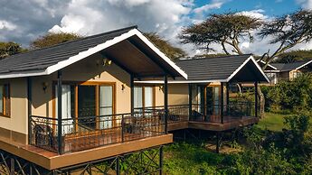 Ngorongoro Lions Paw