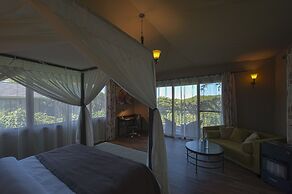Ngorongoro Lions Paw