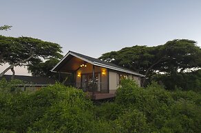 Ngorongoro Lions Paw