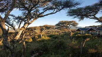 Ngorongoro Lions Paw