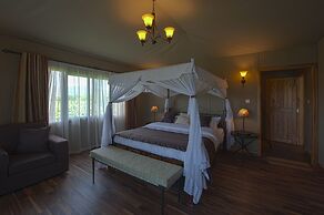 Ngorongoro Lions Paw