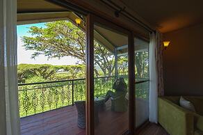 Ngorongoro Lions Paw
