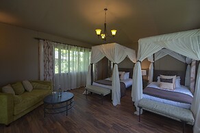 Ngorongoro Lions Paw