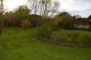 Au Passage des Grues