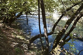 Amaryllis Boutique Guest House