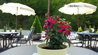 Hotel-Pension Haus Hubertus