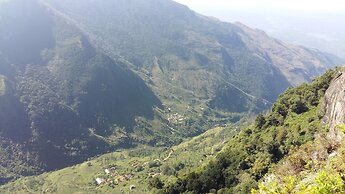 Basilico Homestay