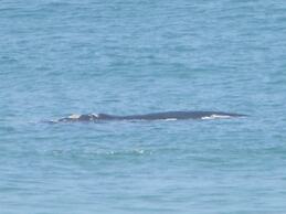 Melkhoutkloof Guest House