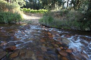 AfriCamps at Doolhof- Glamping