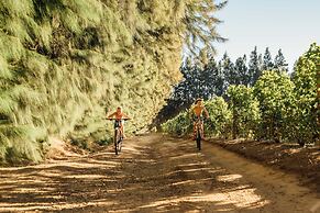 AfriCamps at Doolhof- Glamping