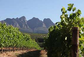 AfriCamps at Doolhof- Glamping