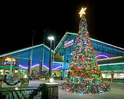 Alpine Pool Lodge Holiday home 2