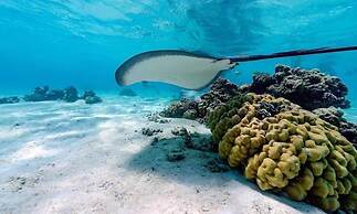 EDEN - Private Island - TAHA'A