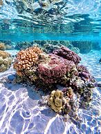 EDEN - Private Island - TAHA'A